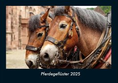 Cover Pferdegeflüster 2025 Fotokalender DIN A4