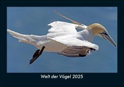 Cover Welt der Vögel 2025 Fotokalender DIN A5