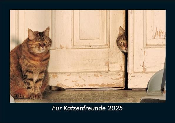 Für Katzenfreunde 2025 Fotokalender DIN A5 Für Katzenfreunde 2025 Fotokalender DIN A5