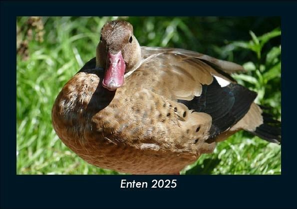 Enten 2025 Fotokalender DIN A5 Enten 2025 Fotokalender DIN A5