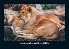 Cover Tiere in der Wildnis 2025 Fotokalender DIN A5