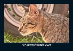 Cover Für Katzenfreunde 2025 Fotokalender DIN A5