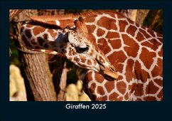 Cover Giraffen 2025 Fotokalender DIN A5
