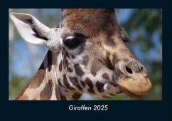 Cover Giraffen 2025 Fotokalender DIN A4