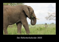 Cover Der Elefantenkalender 2025 Fotokalender DIN A3