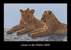 Cover Löwen in der Wildnis 2025 Fotokalender DIN A3