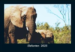 Cover Elefanten 2025 Fotokalender DIN A5