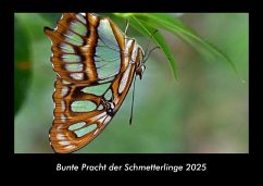 Cover Bunte Pracht der Schmetterlinge 2025 Fotokalender DIN A3