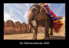 Cover Der Elefantenkalender 2025 Fotokalender DIN A3
