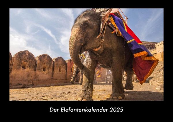 Der Elefantenkalender 2025 Fotokalender DIN A3 Der Elefantenkalender 2025 Fotokalender DIN A3