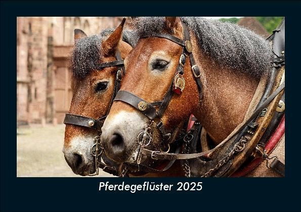 Pferdegeflüster 2025 Fotokalender DIN A5