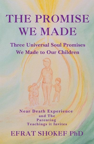 The Promise We Made The Promise We Made