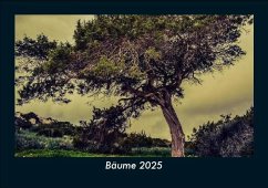Cover Bäume 2025 Fotokalender DIN A5