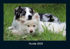 Cover Hunde 2025 Fotokalender DIN A4