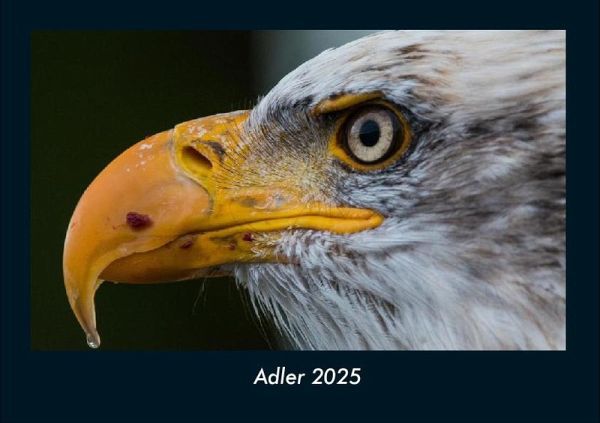 Adler 2025 Fotokalender DIN A4