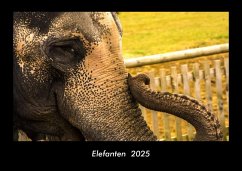 Cover Elefanten 2025 Fotokalender DIN A3