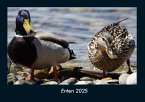Enten 2025 Fotokalender DIN A4