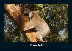 Cover Koala 2025 Fotokalender DIN A4