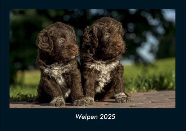 Welpen 2025 Fotokalender DIN A4