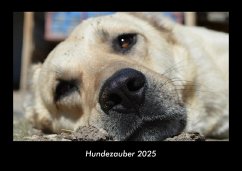 Cover Hundezauber 2025 Fotokalender DIN A3