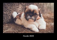 Hunde 2025 Fotokalender DIN A3 - Tobias Becker