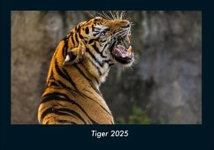 Tiger 2025 Fotokalender DIN A4 - Tobias Becker