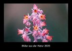 Bilder aus der Natur 2025 Fotokalender DIN A3