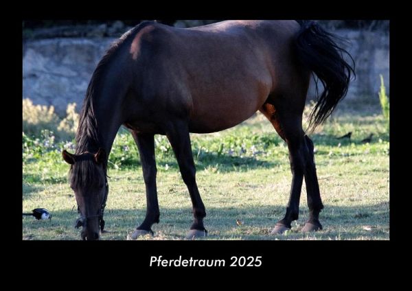 Pferdetraum 2025 Fotokalender DIN A3 Pferdetraum 2025 Fotokalender DIN A3