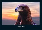 Adler 2025 Fotokalender DIN A4 Adler 2025 Fotokalender DIN A4