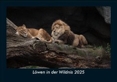Cover Löwen in der Wildnis 2025 Fotokalender DIN A5