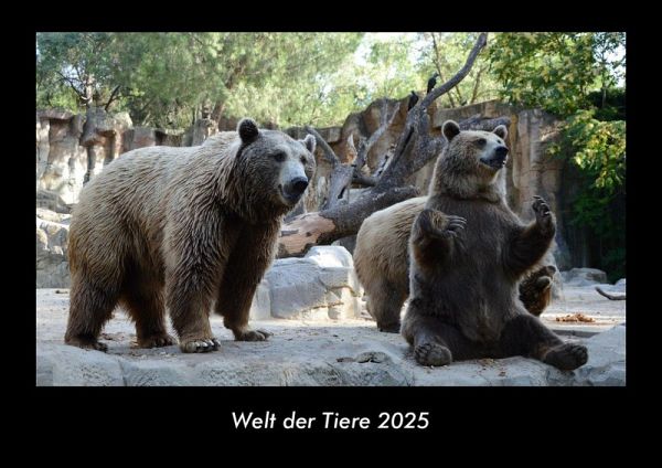 Welt der Tiere 2025 Fotokalender DIN A3 Welt der Tiere 2025 Fotokalender DIN A3