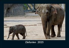 Cover Elefanten 2025 Fotokalender DIN A5