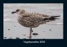 Vogelparadies 2025 Fotokalender DIN A4 - Bild 1