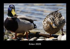 Cover Enten 2025 Fotokalender DIN A3
