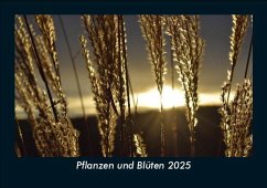 Cover Pflanzen und Blüten 2025 Fotokalender DIN A5