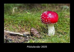 Cover Pilzkalender 2025 Fotokalender DIN A3