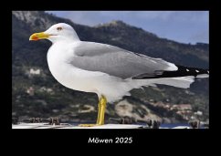 Cover Möwen 2025 Fotokalender DIN A3