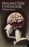 Pragmatizm - Faydacilik