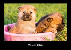 Cover Welpen 2025 Fotokalender DIN A3