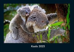 Cover Koala 2025 Fotokalender DIN A4