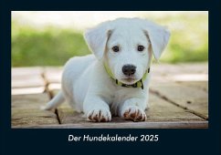 Der Hundekalender 2025 Fotokalender DIN A4 - Tobias Becker