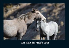 Cover Die Welt der Pferde 2025 Fotokalender DIN A4