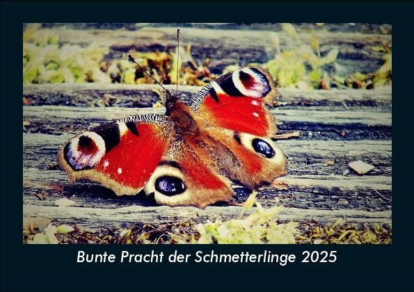 Bunte Pracht der Schmetterlinge 2025 Fotokalender DIN A5 Bunte Pracht der Schmetterlinge 2025 Fotokalender DIN A5