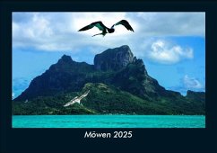 Möwen 2025 Fotokalender DIN A5 - Tobias Becker