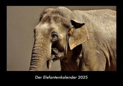 Cover Der Elefantenkalender 2025 Fotokalender DIN A3