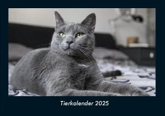Cover Tierkalender 2025 Fotokalender DIN A4