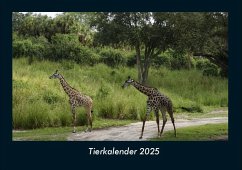 Cover Tierkalender 2025 Fotokalender DIN A4