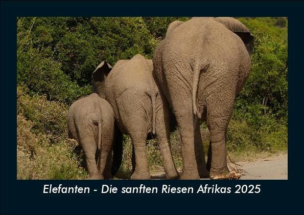 Elefanten - Die sanften Riesen Afrikas 2025 Fotokalender DIN A5
