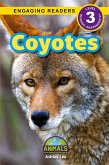 Coyotes