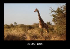 Cover Giraffen 2025 Fotokalender DIN A3